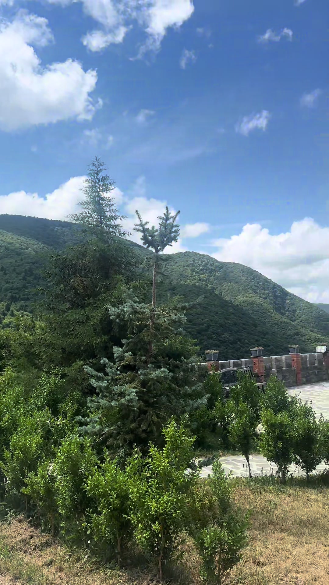 @Kutkhashvili mariami