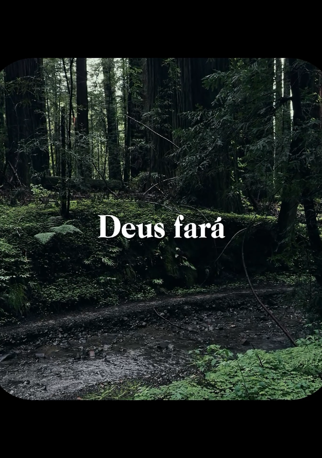 @Servo de Deus ✝️