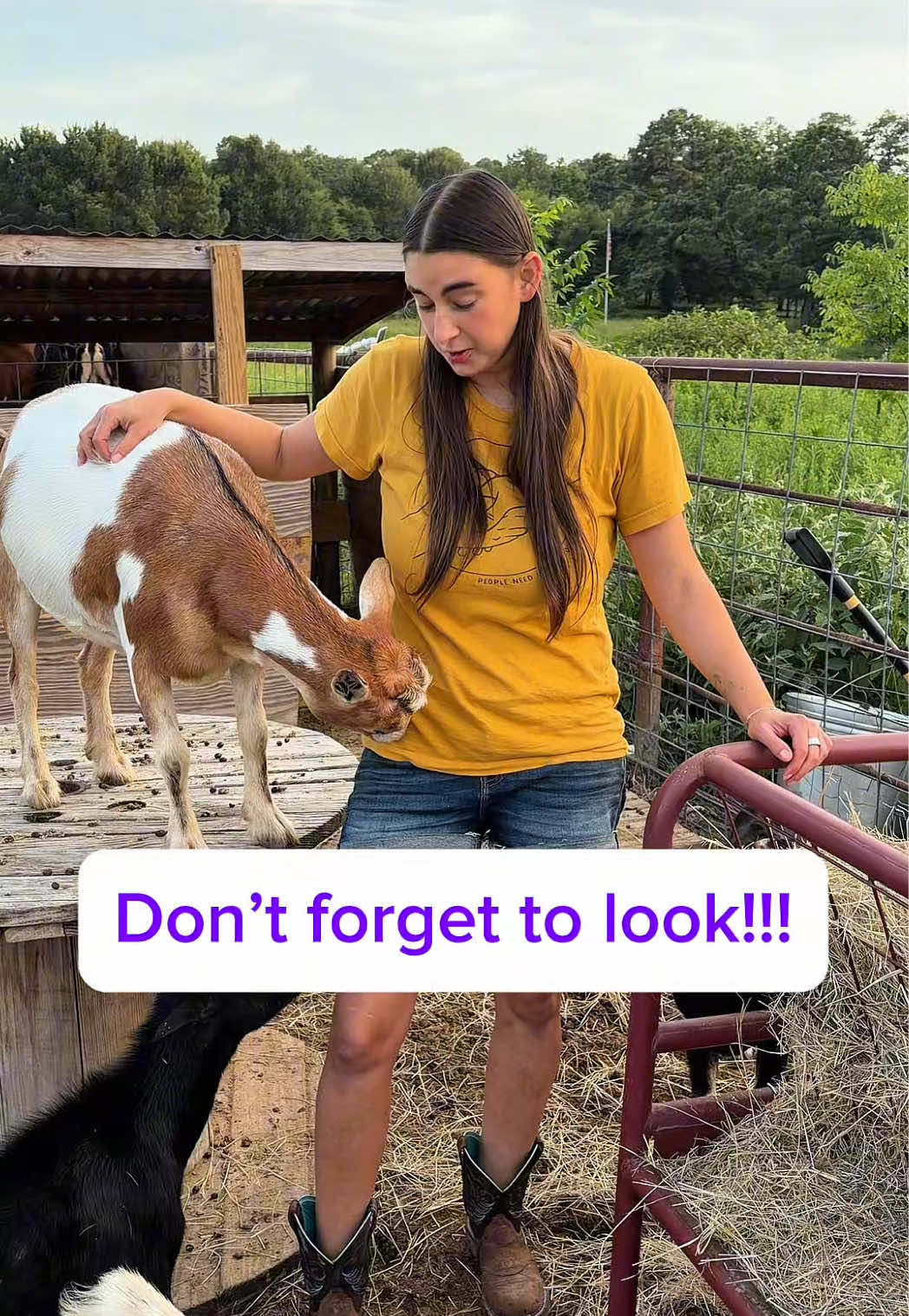 @Heart & Hoof Homestead