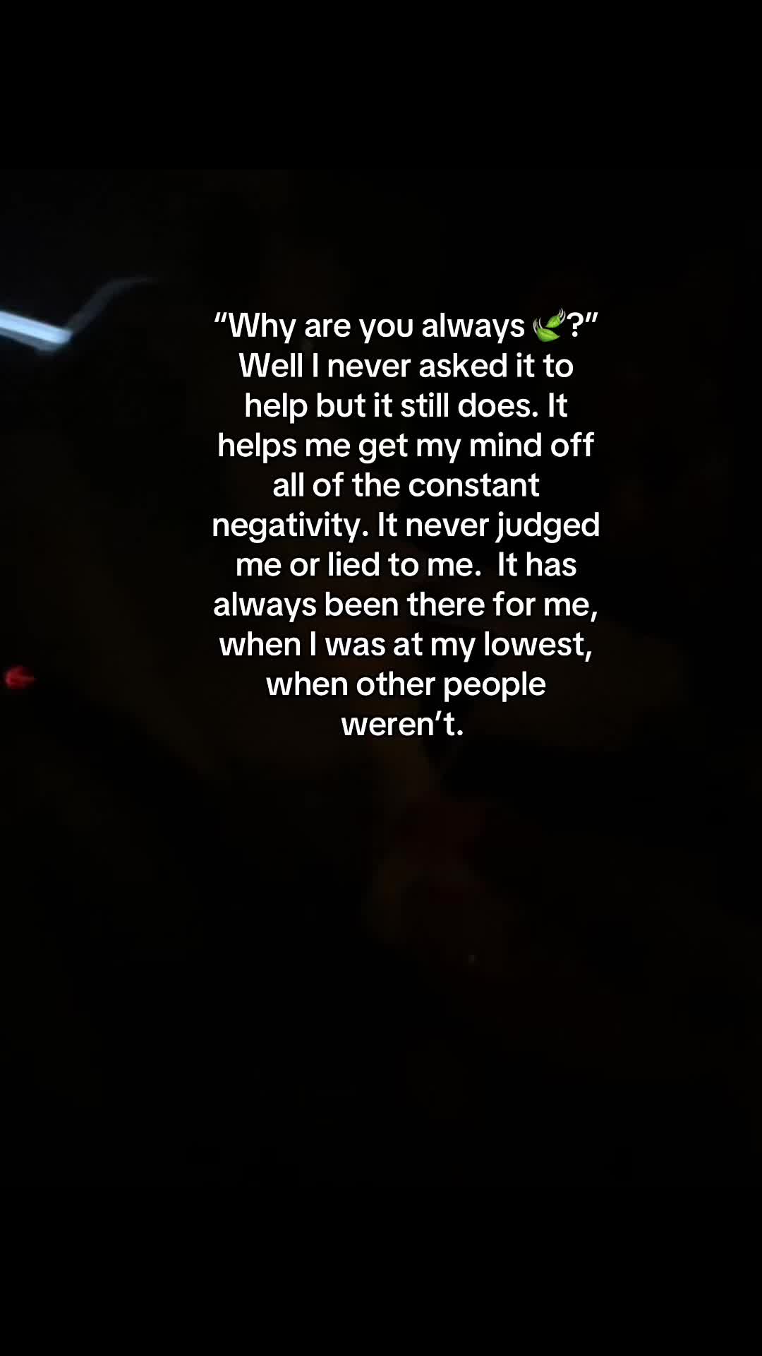 @🦇