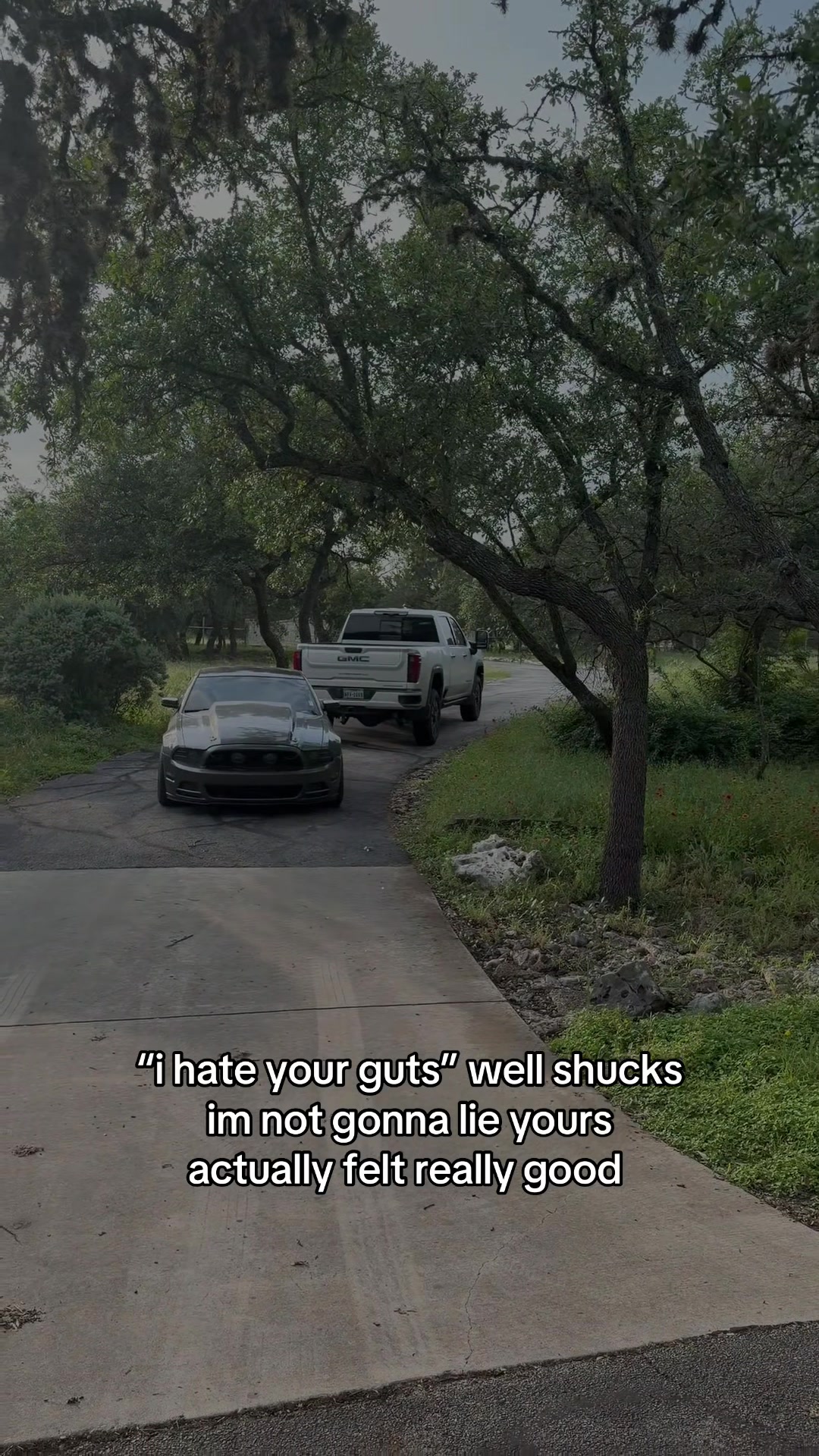@WANGHAF INC