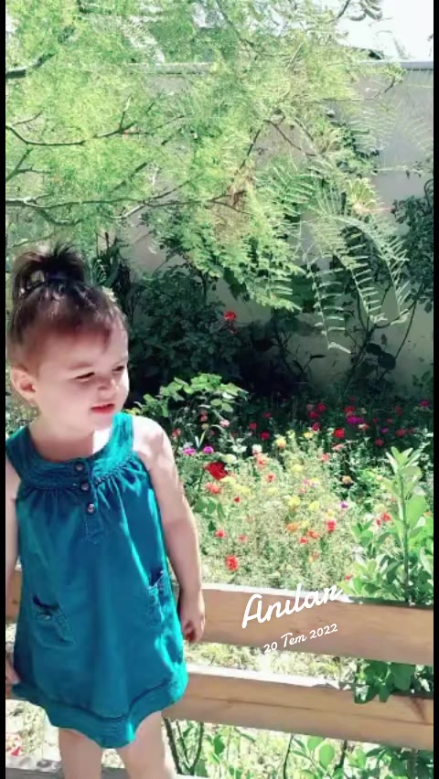 @Almina elif