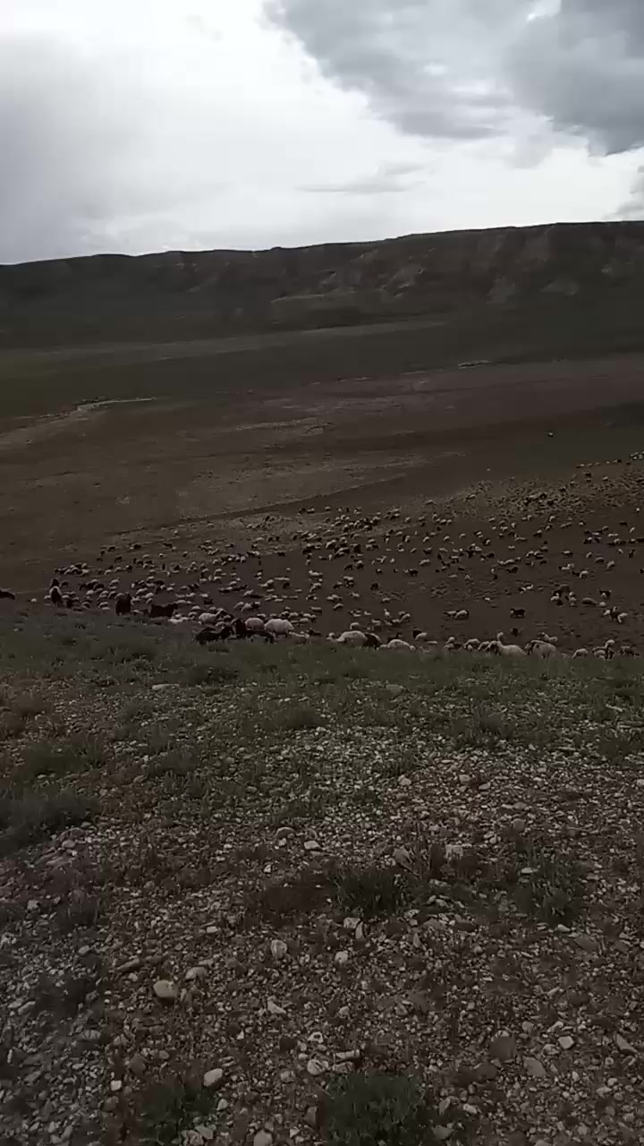 @Zahid cehrili