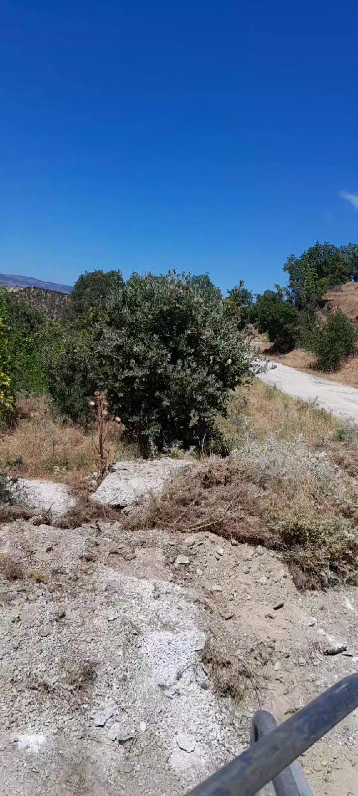 @Hasan Yılmaz