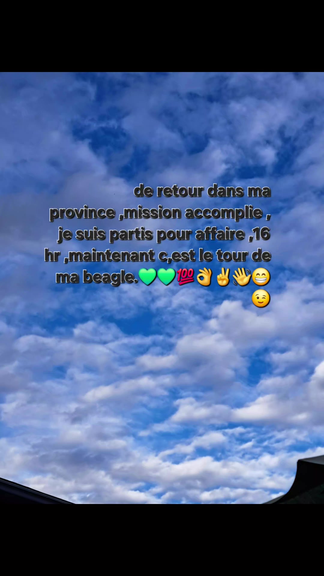 @regis Pinault