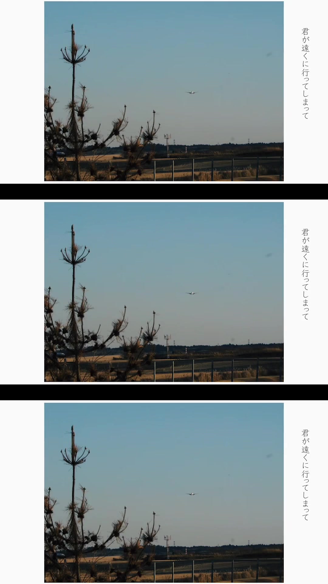 @梟note / 弱酸性