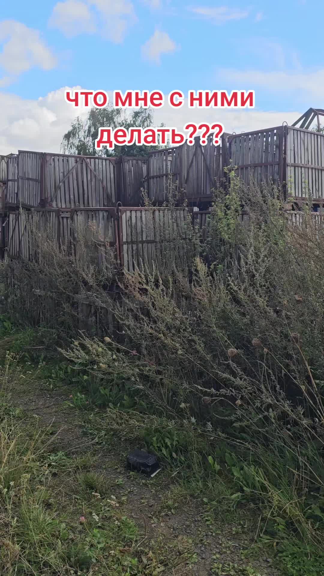 @виталя фартовый