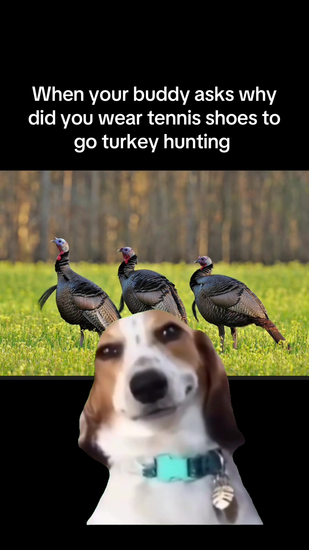 @TPHH