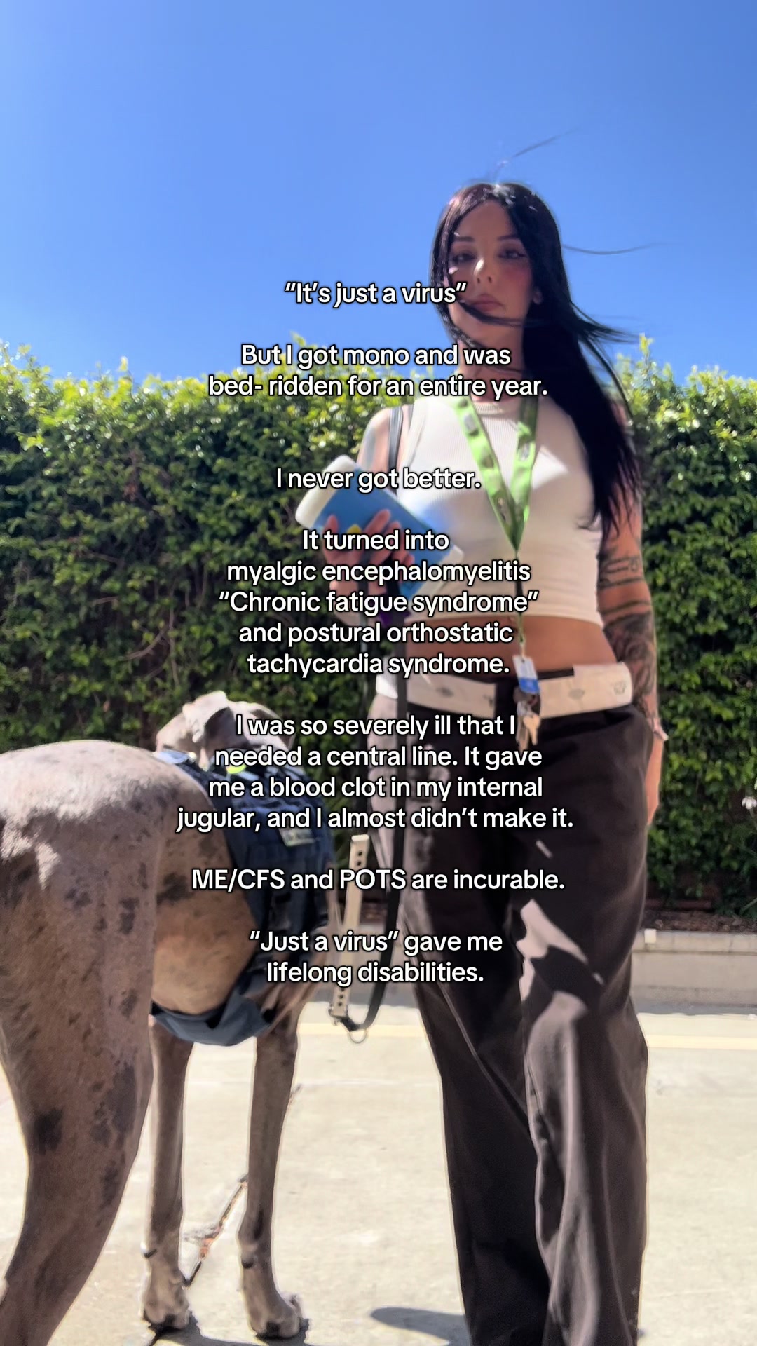 @lex 🐺⛓️