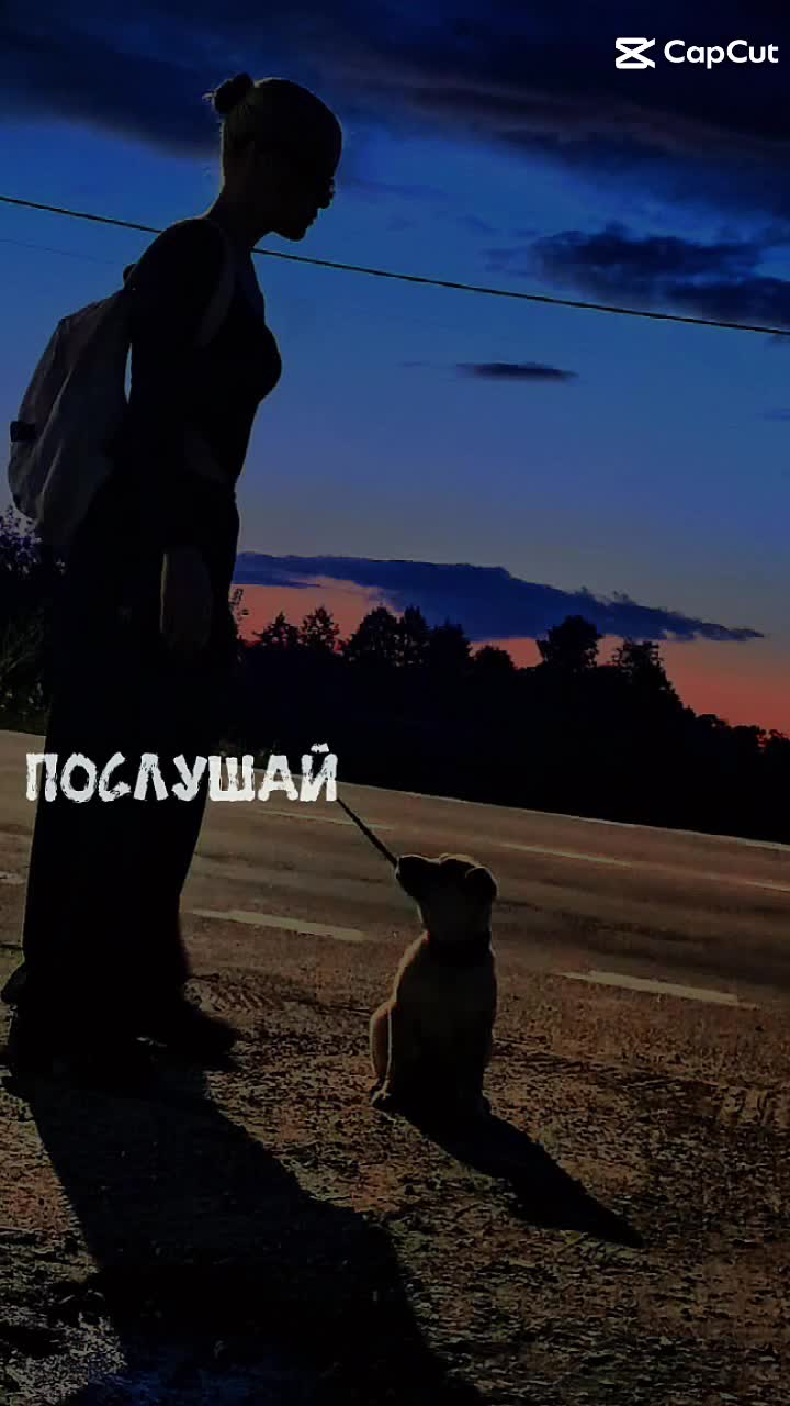 @🤍 ЗАЙКИН 🤍