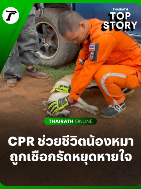 @Thairath