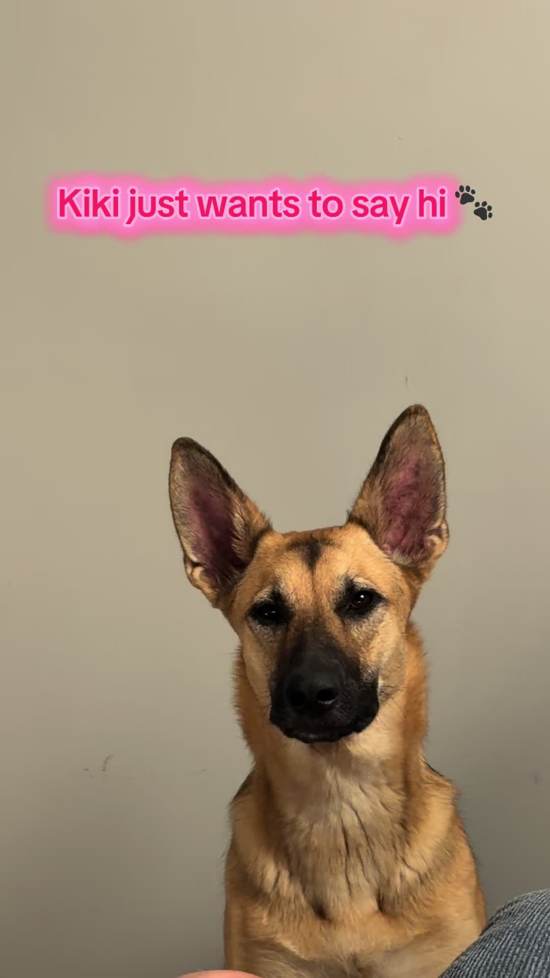 @Kiki.GSD