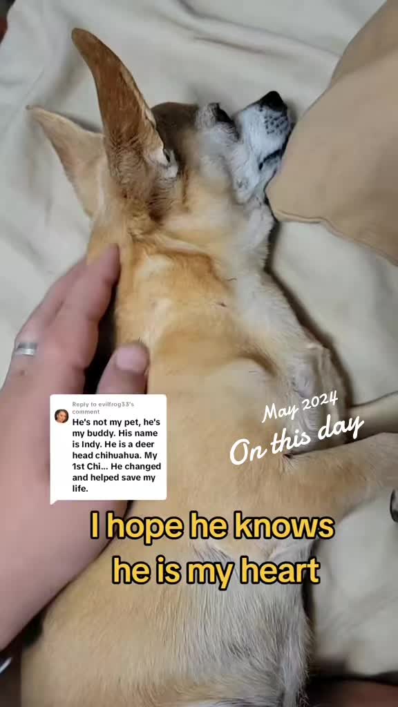 @EvilFrog33