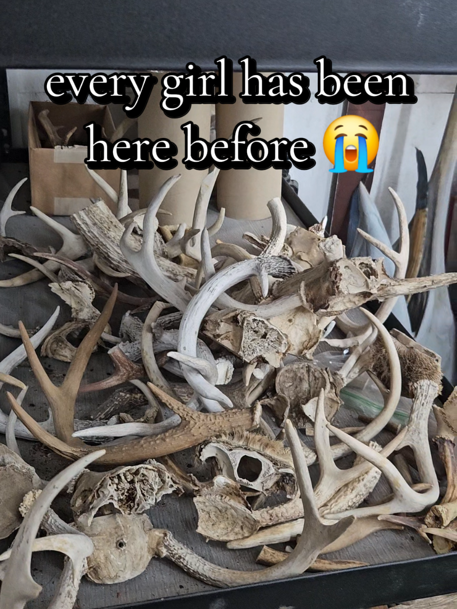 @Hemlock & Bone