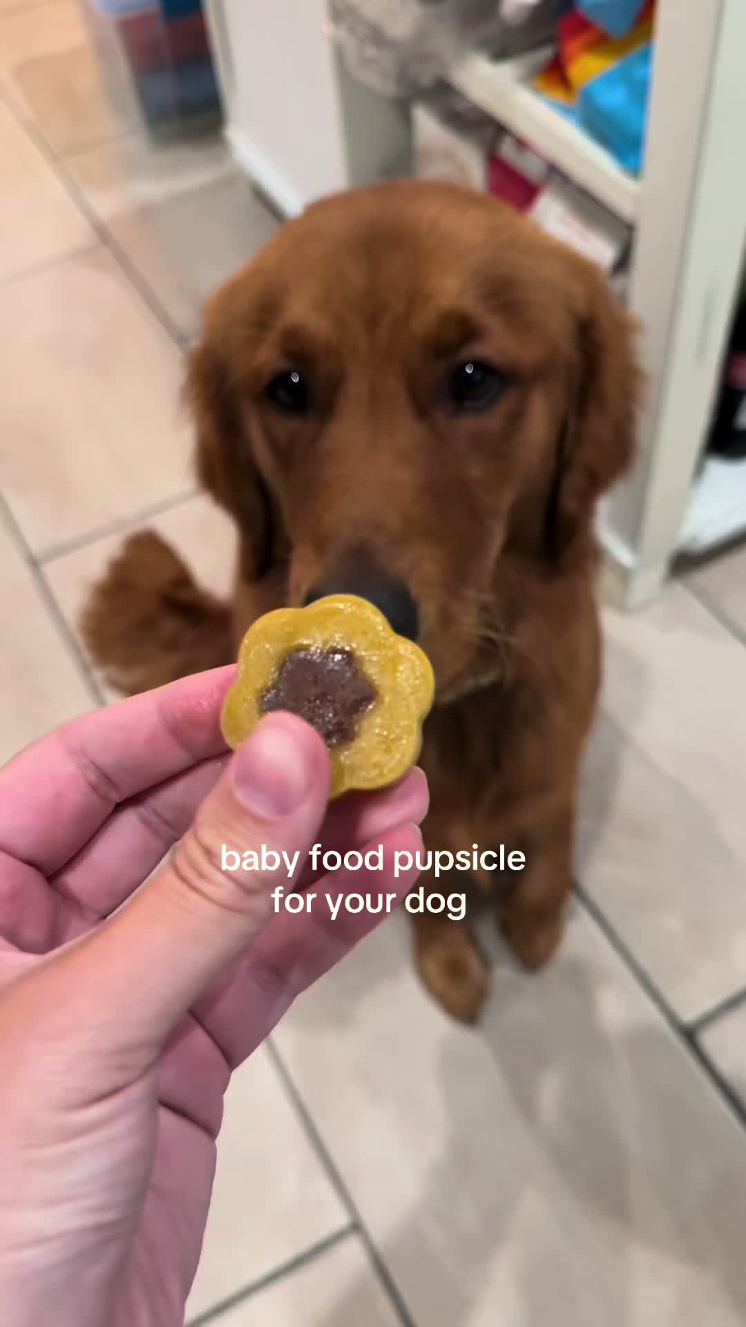 @Finn the Golden