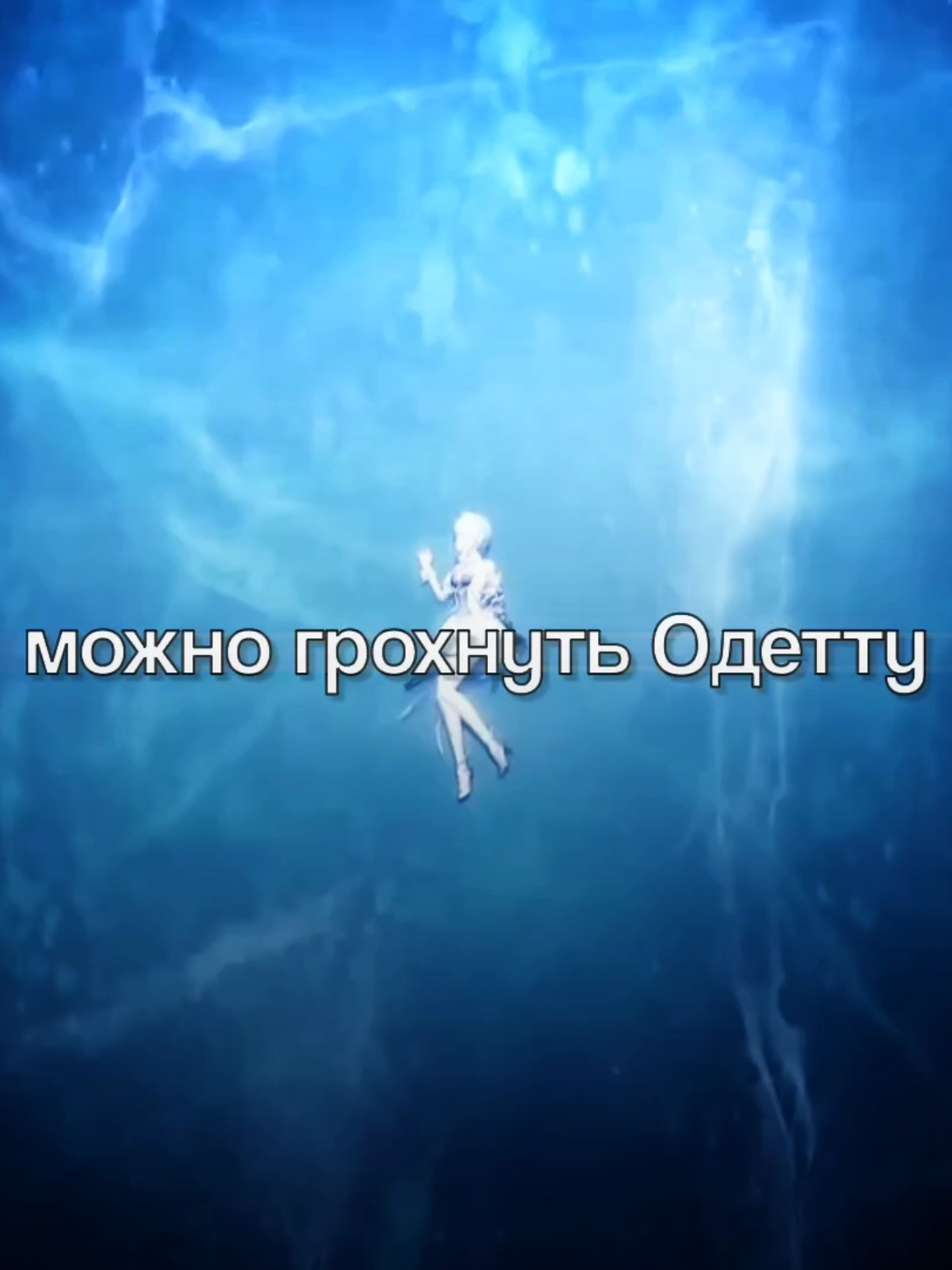 @кот