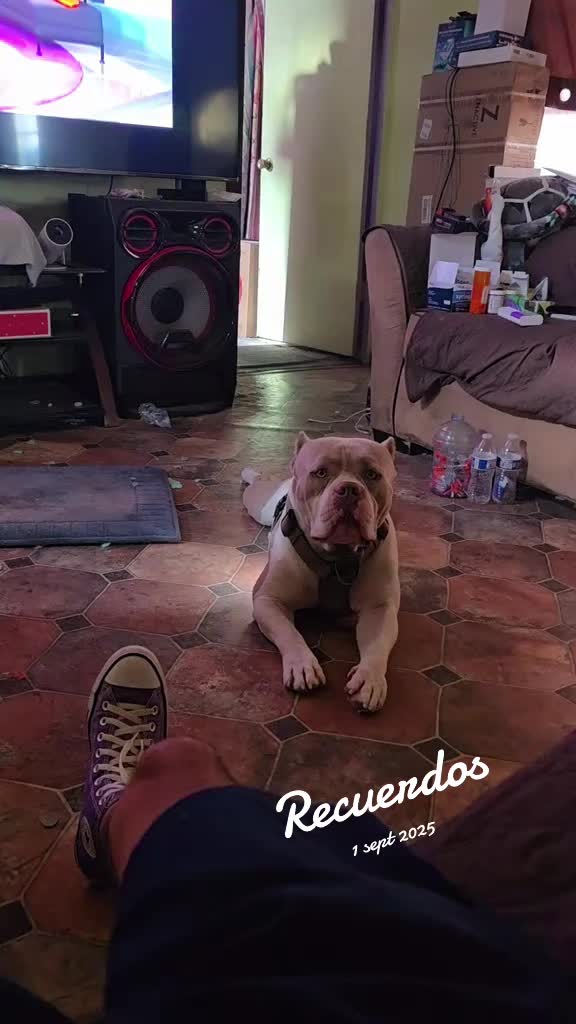 @José Yair AA