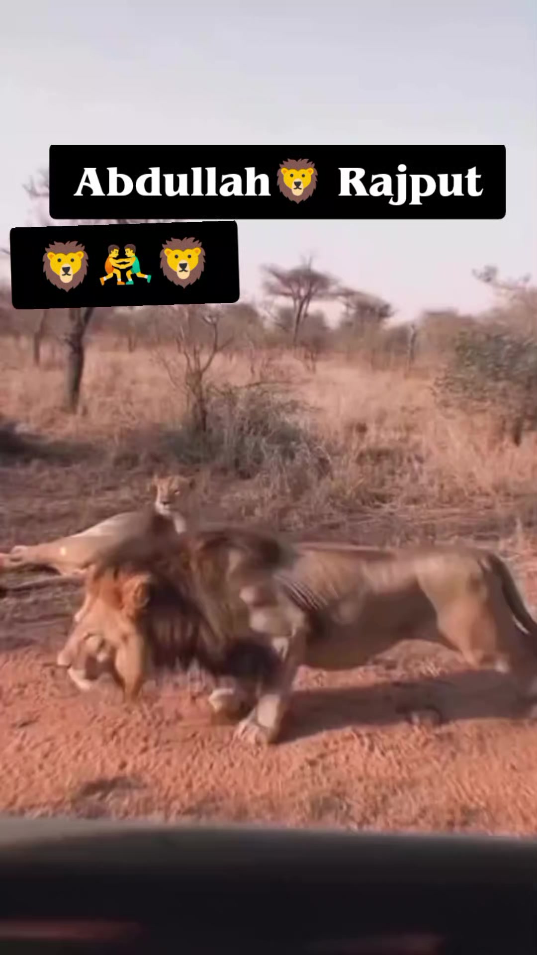 @حمزہ 42آلہ🦅