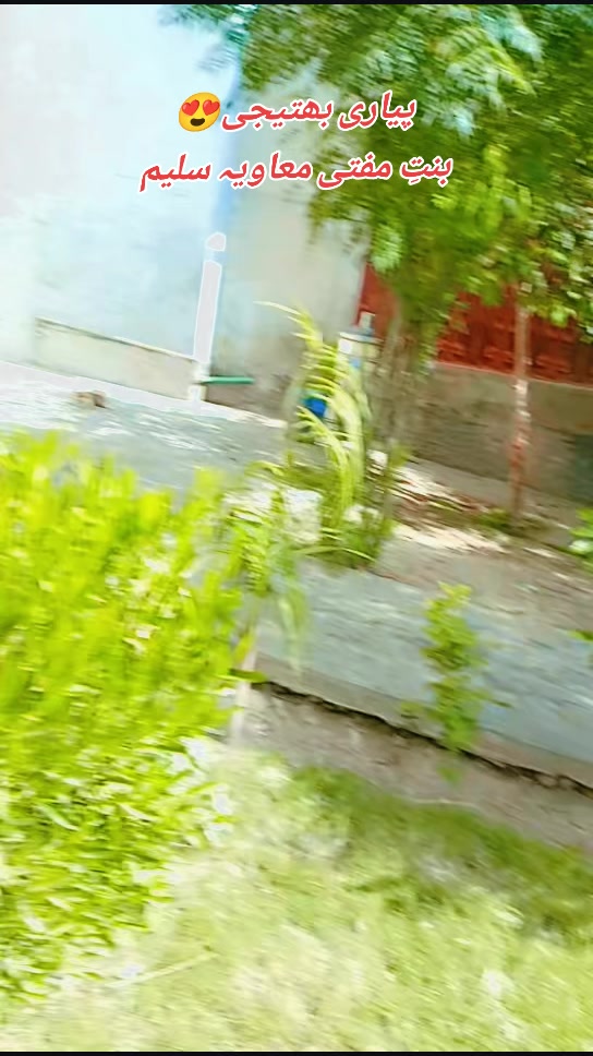 @qaritariqsaleem