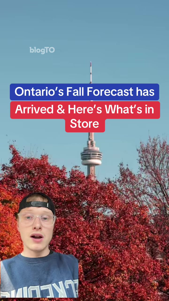 @blogTO