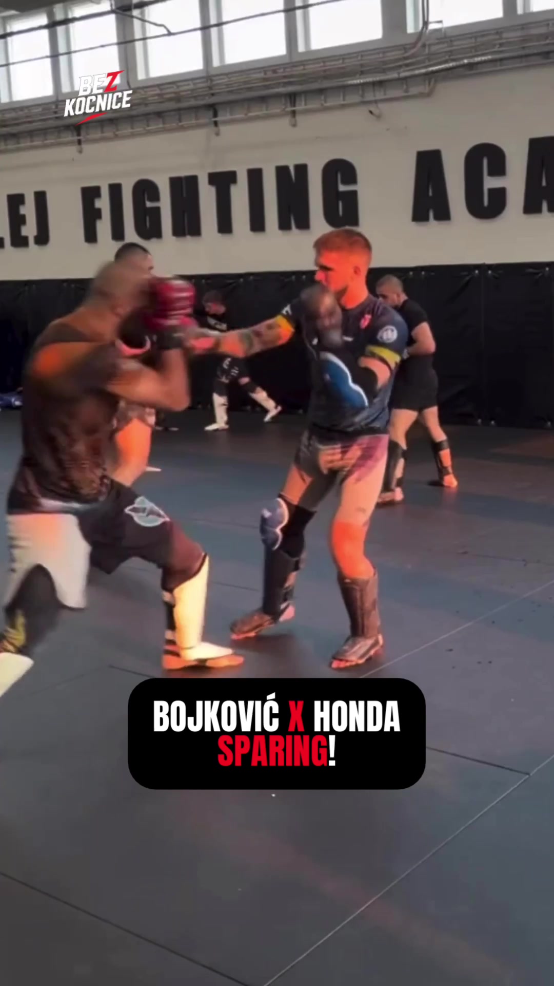 @Bez Kočnice | MMA Vesti