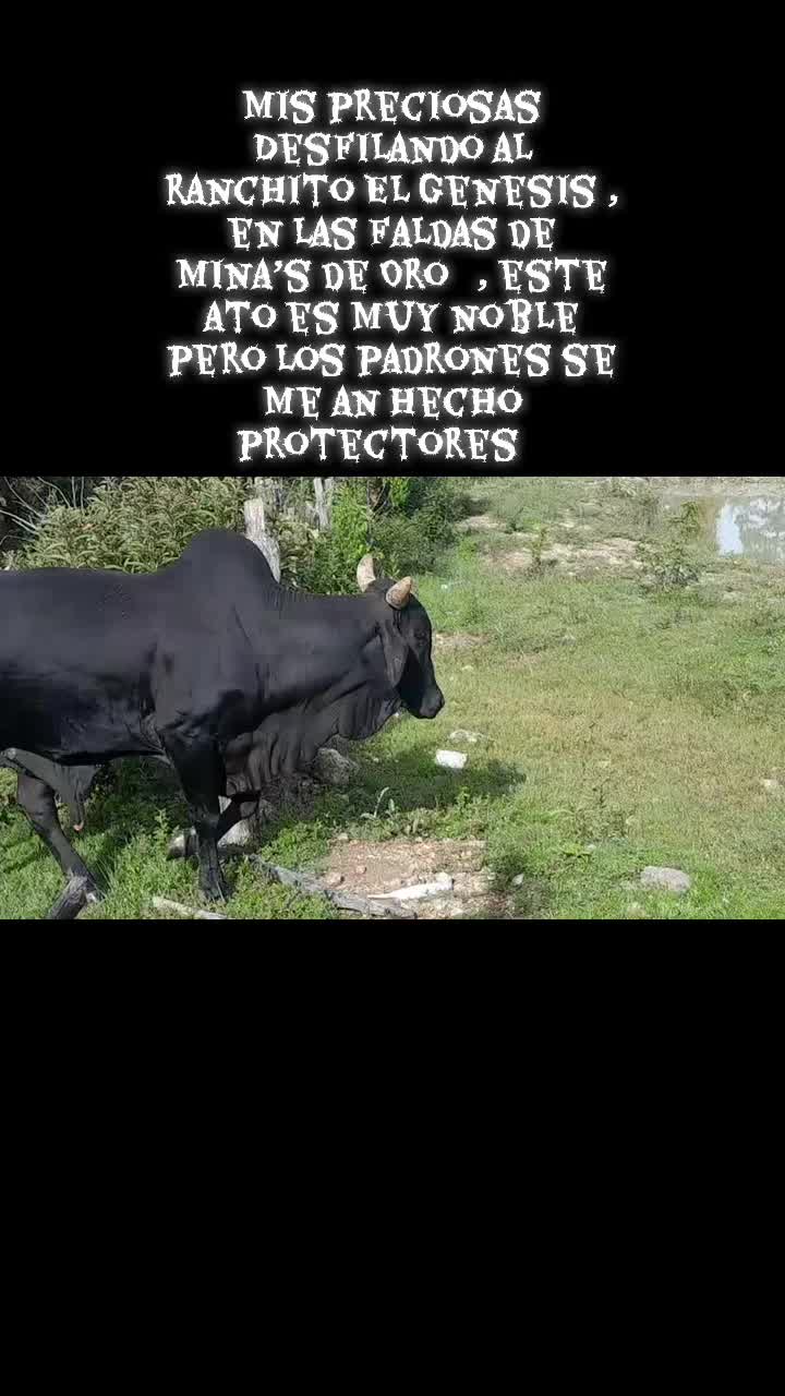 @user7944265819094