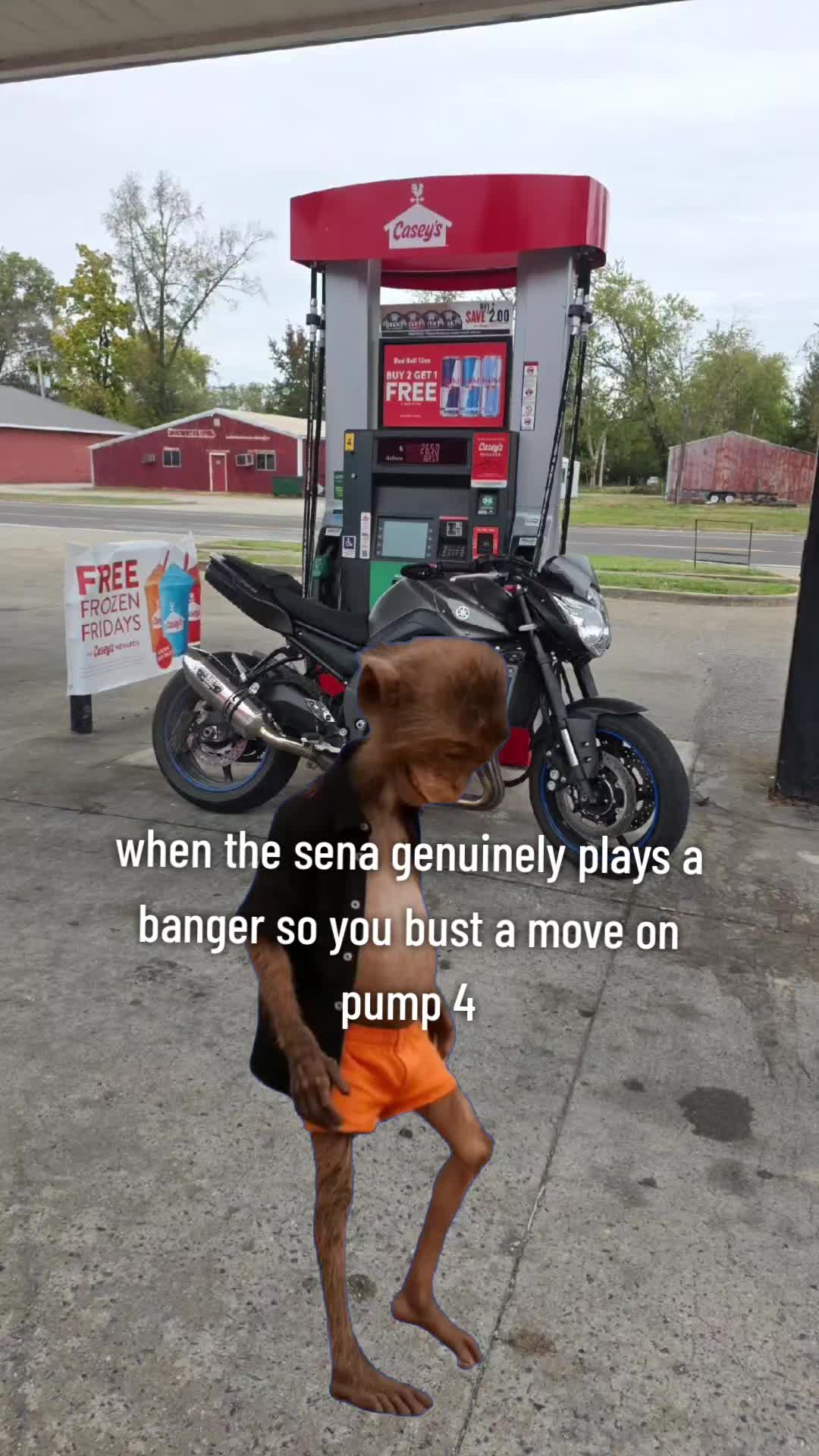 @SlowZ8n