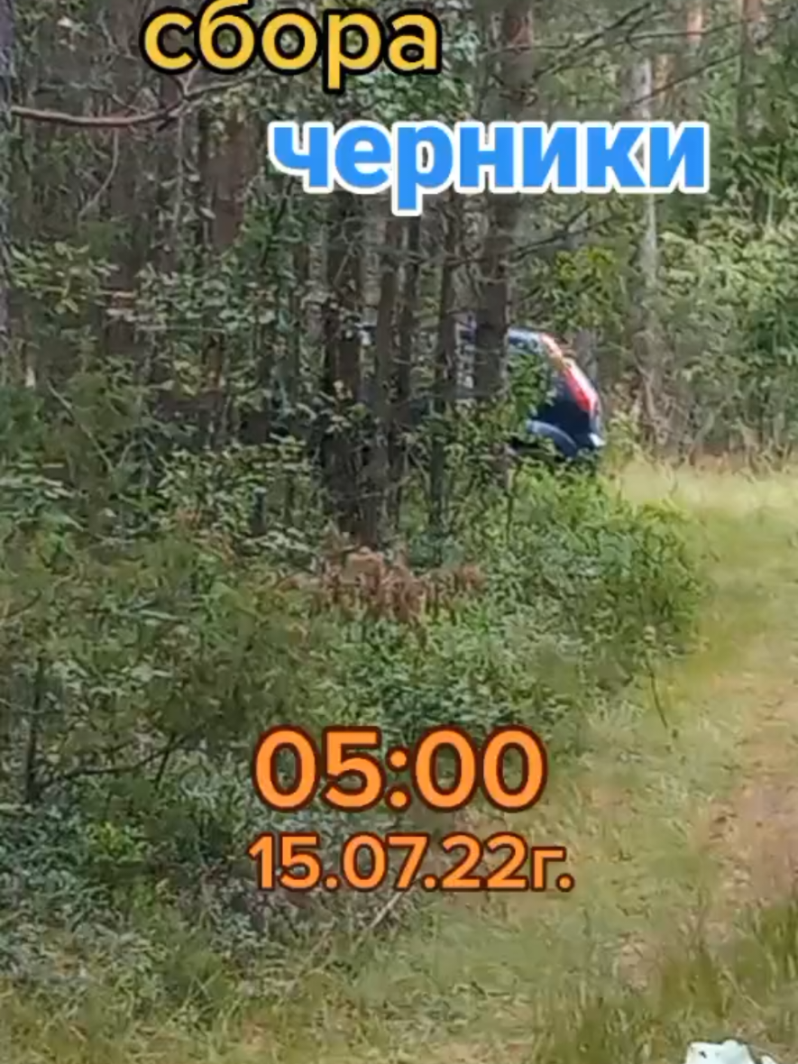 @Игорь