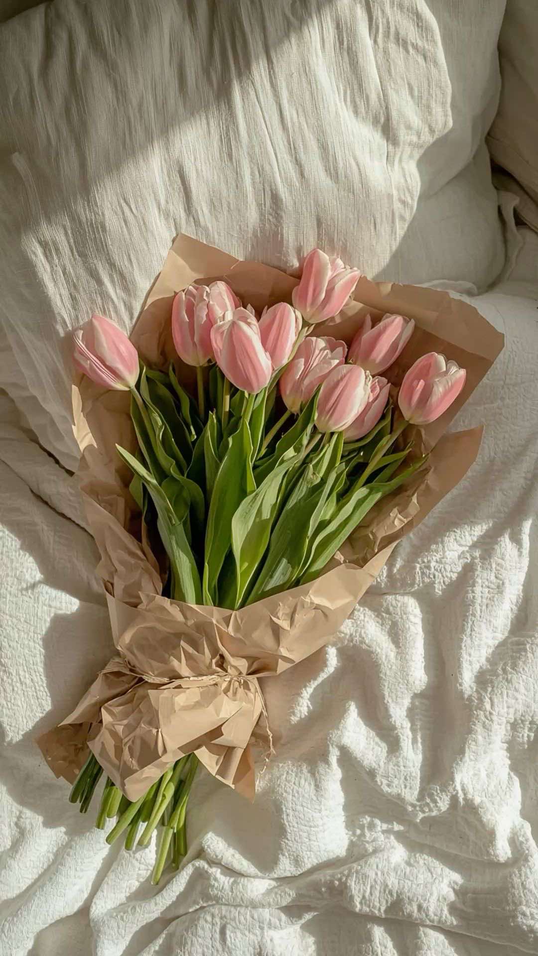 @Letroy_mashigo