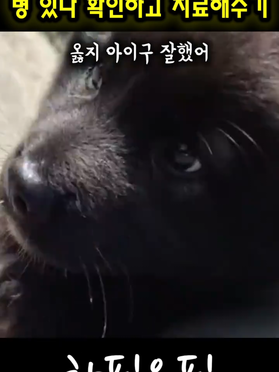 @하필유필