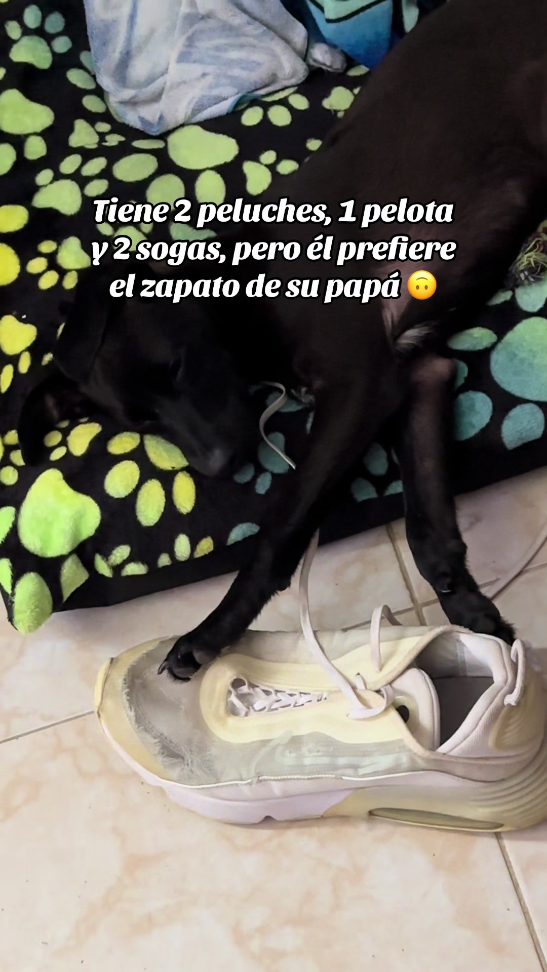 @Stef Pech Vázquez