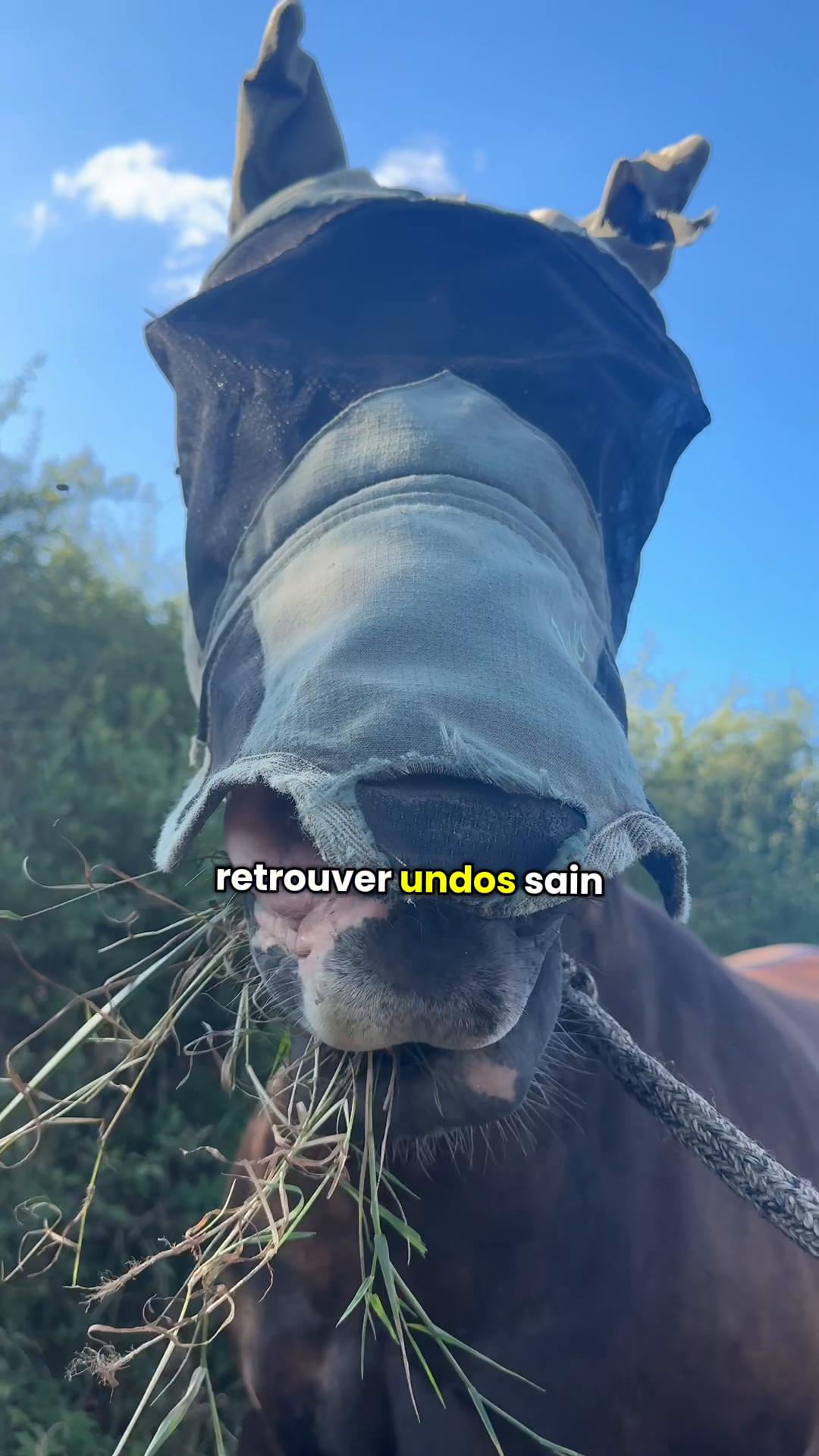 @Seren the pony ๐ด