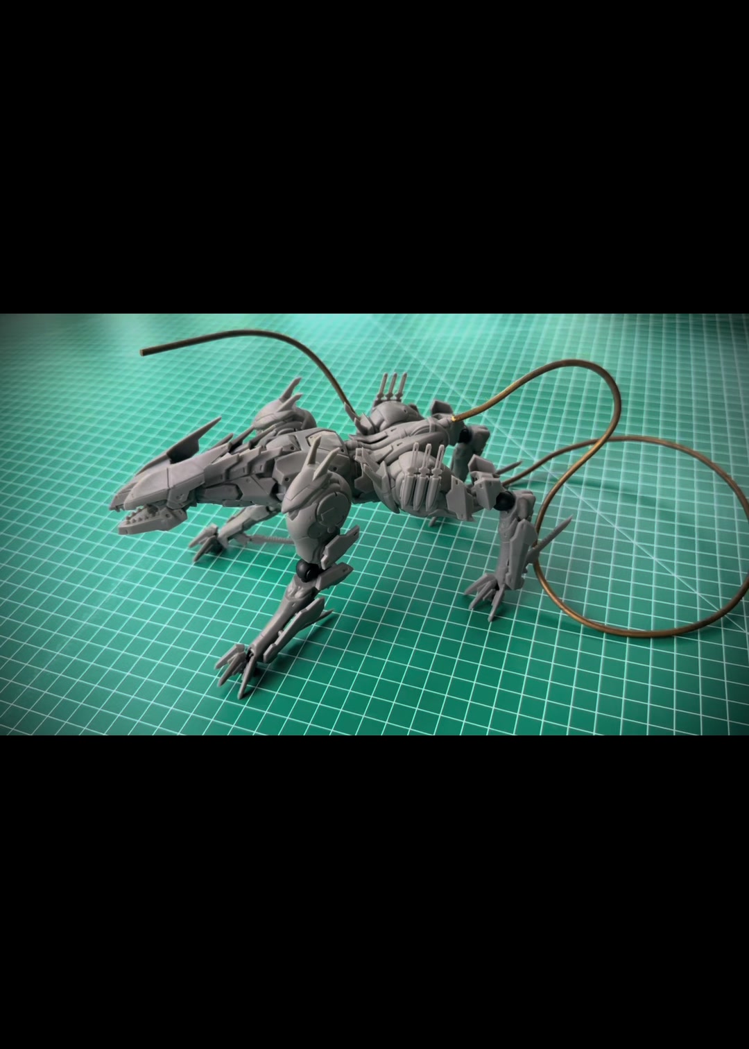 @Doctoy