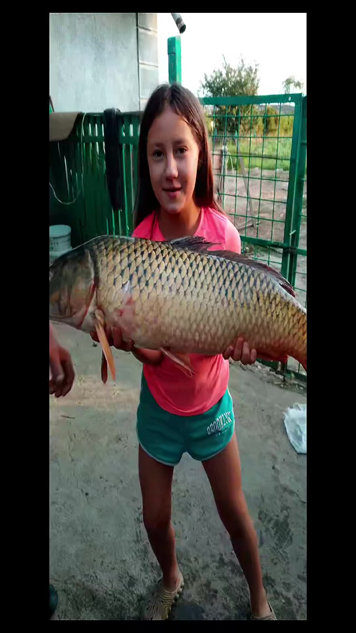 @elenakravchenko884