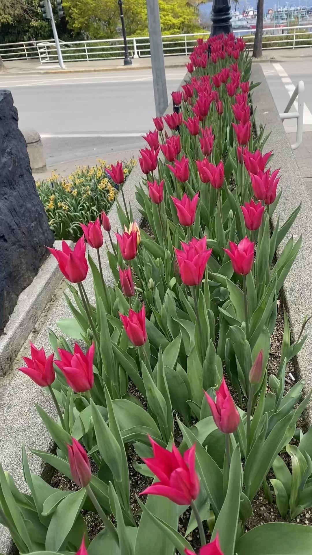 @Val_on_tiktok