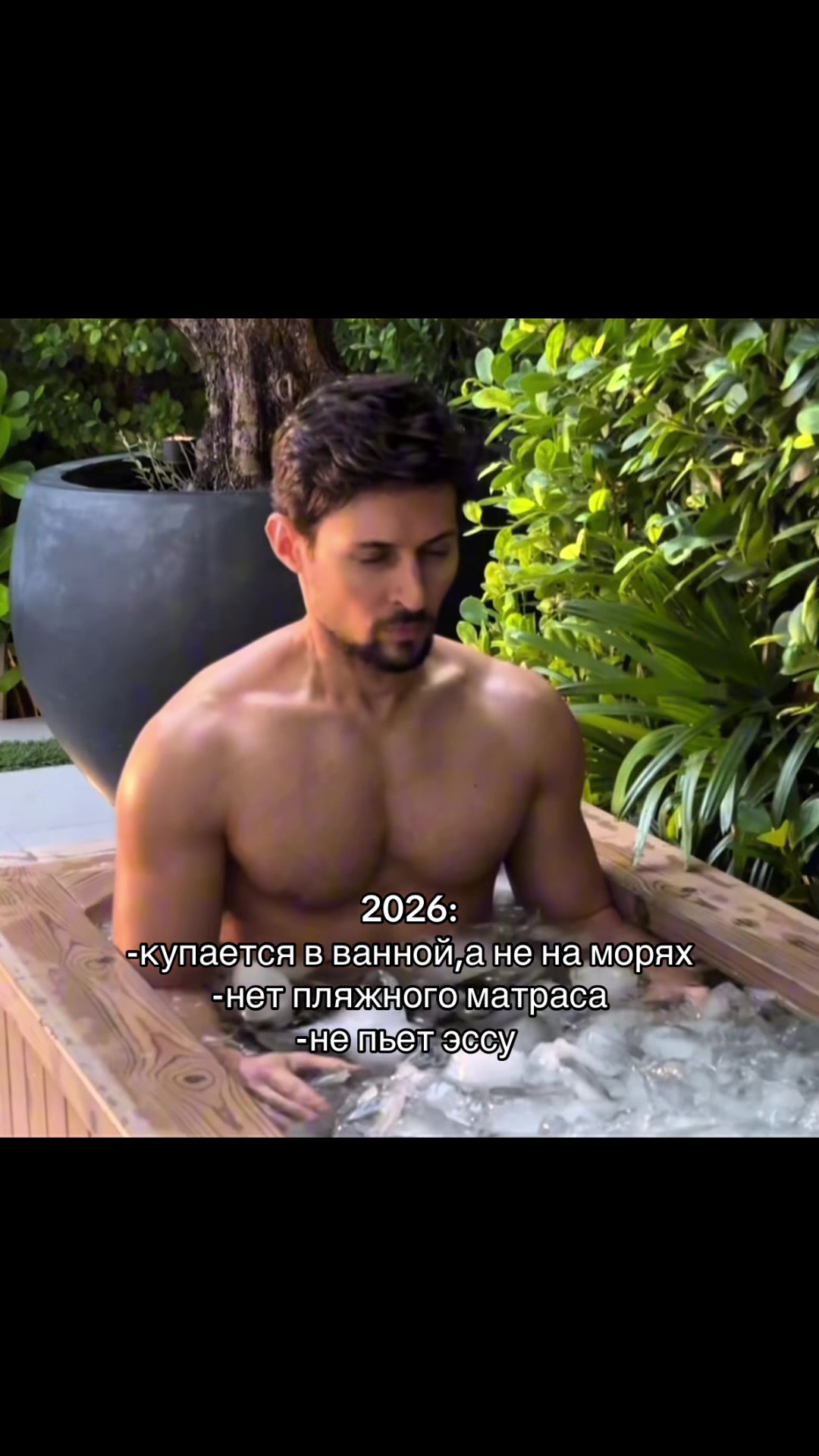 @велвикс