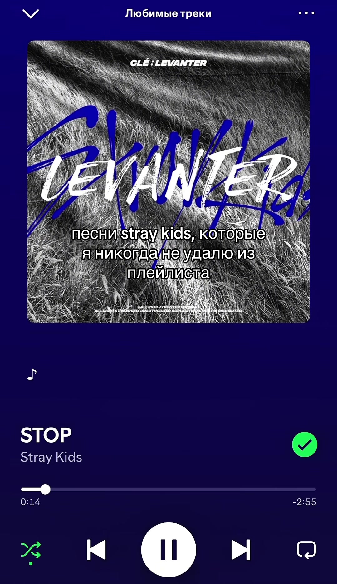@котлетка