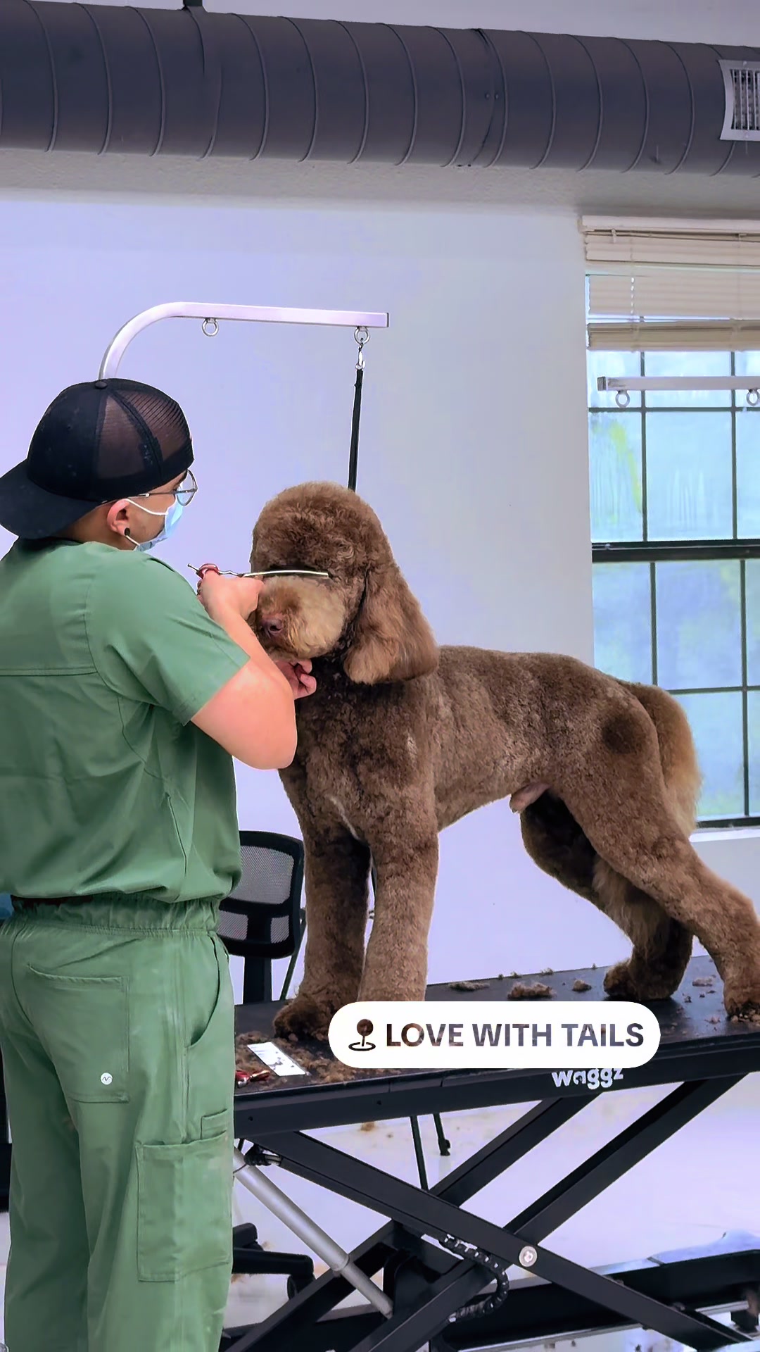 @lovewithtails