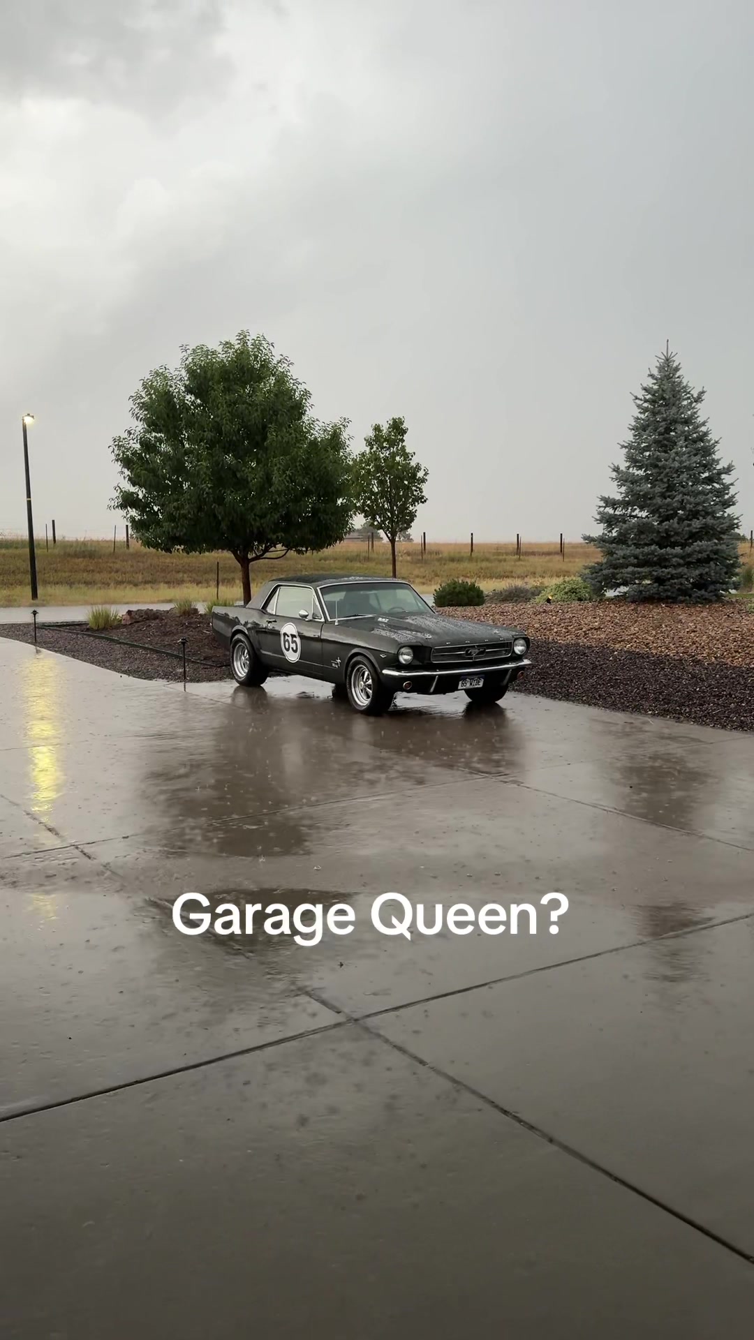 @65 WIDE