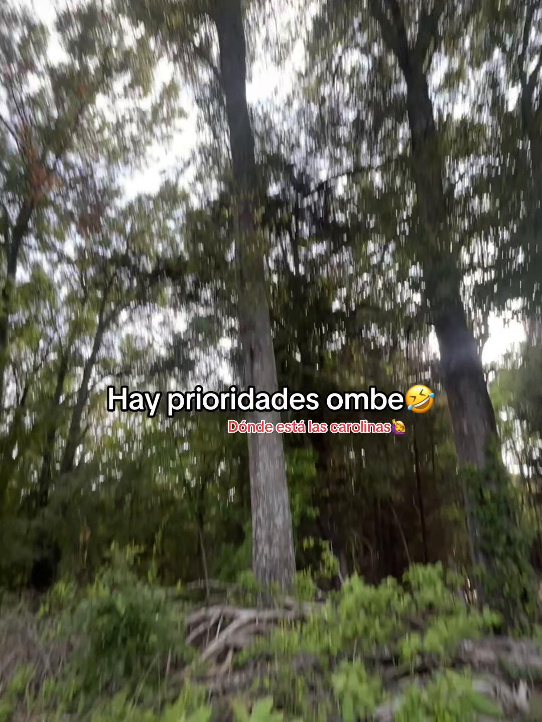 @MElyzza_1