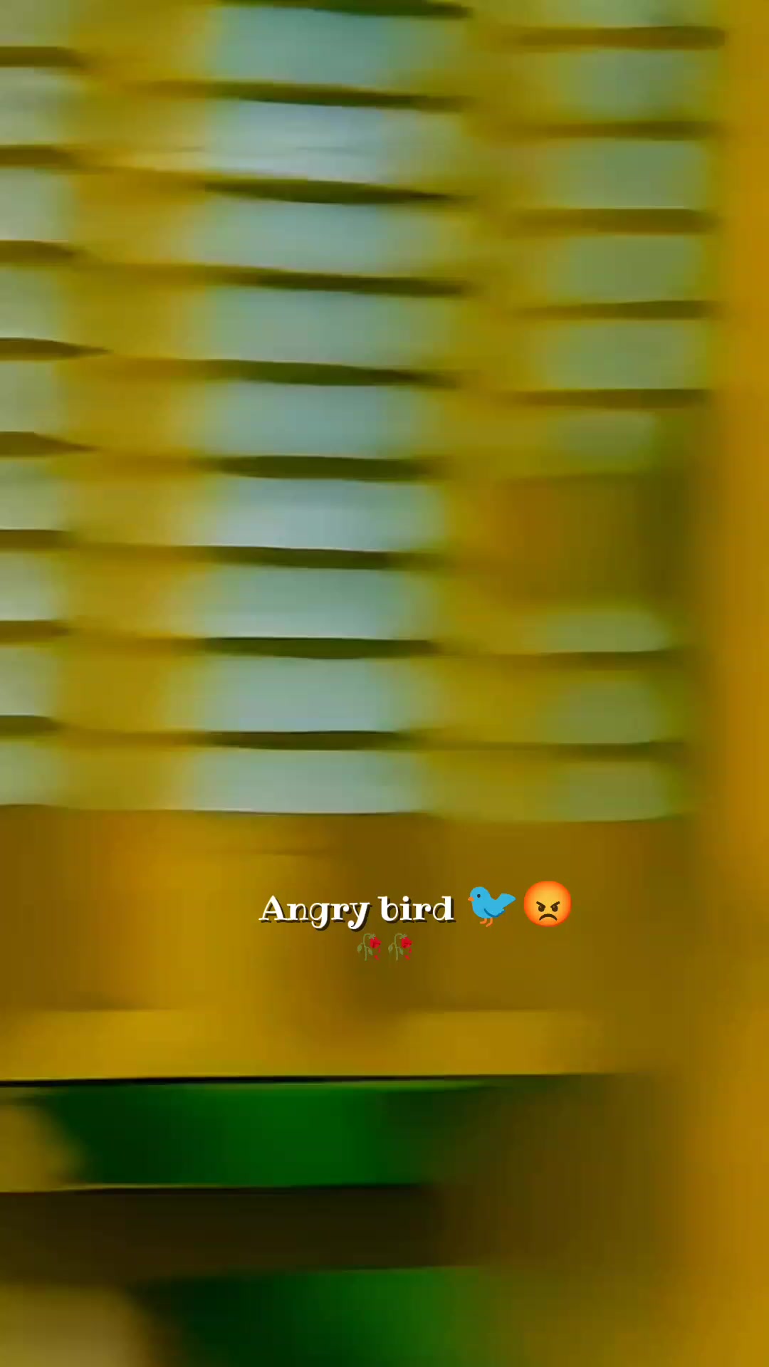 @💫𝖆𝖓𝖌𝖗𝖞 𝖇𝖎𝖗𝖉𝖘💫💥