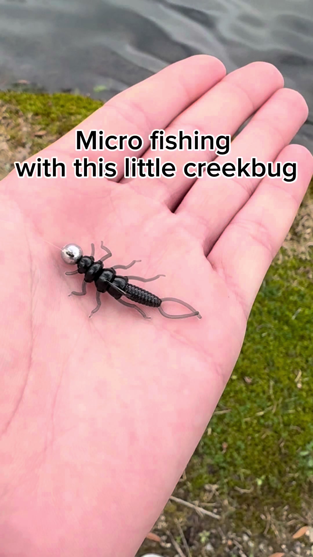@WHKfishing