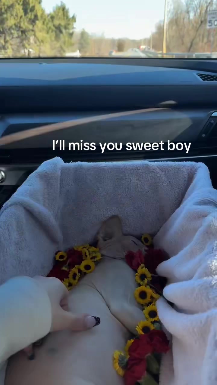 @ZariahJordan