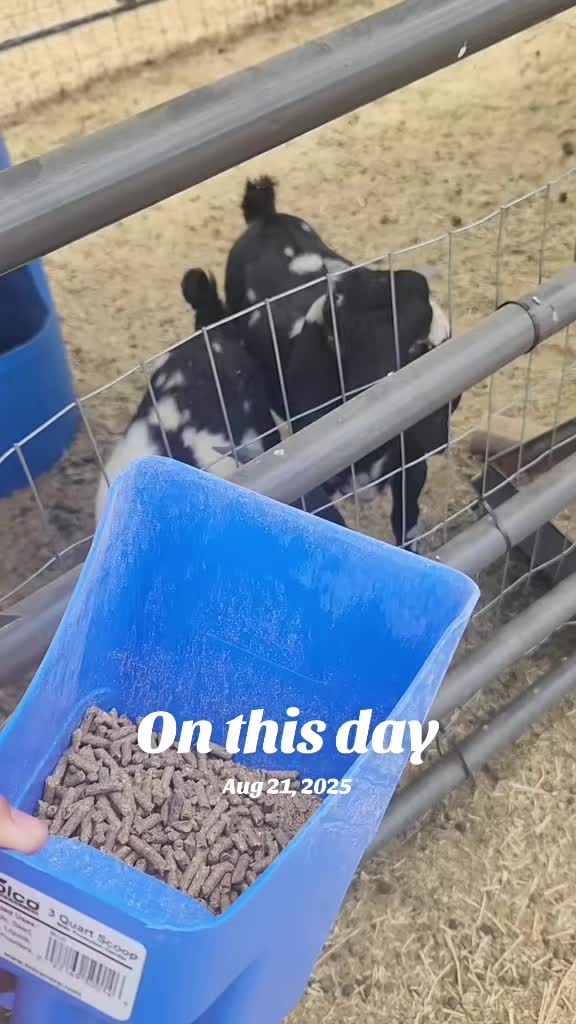 @Nancy | F&N Goat Farm 🐐