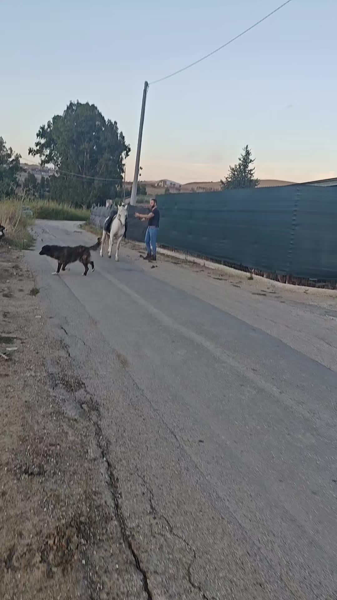 @pietrocanino