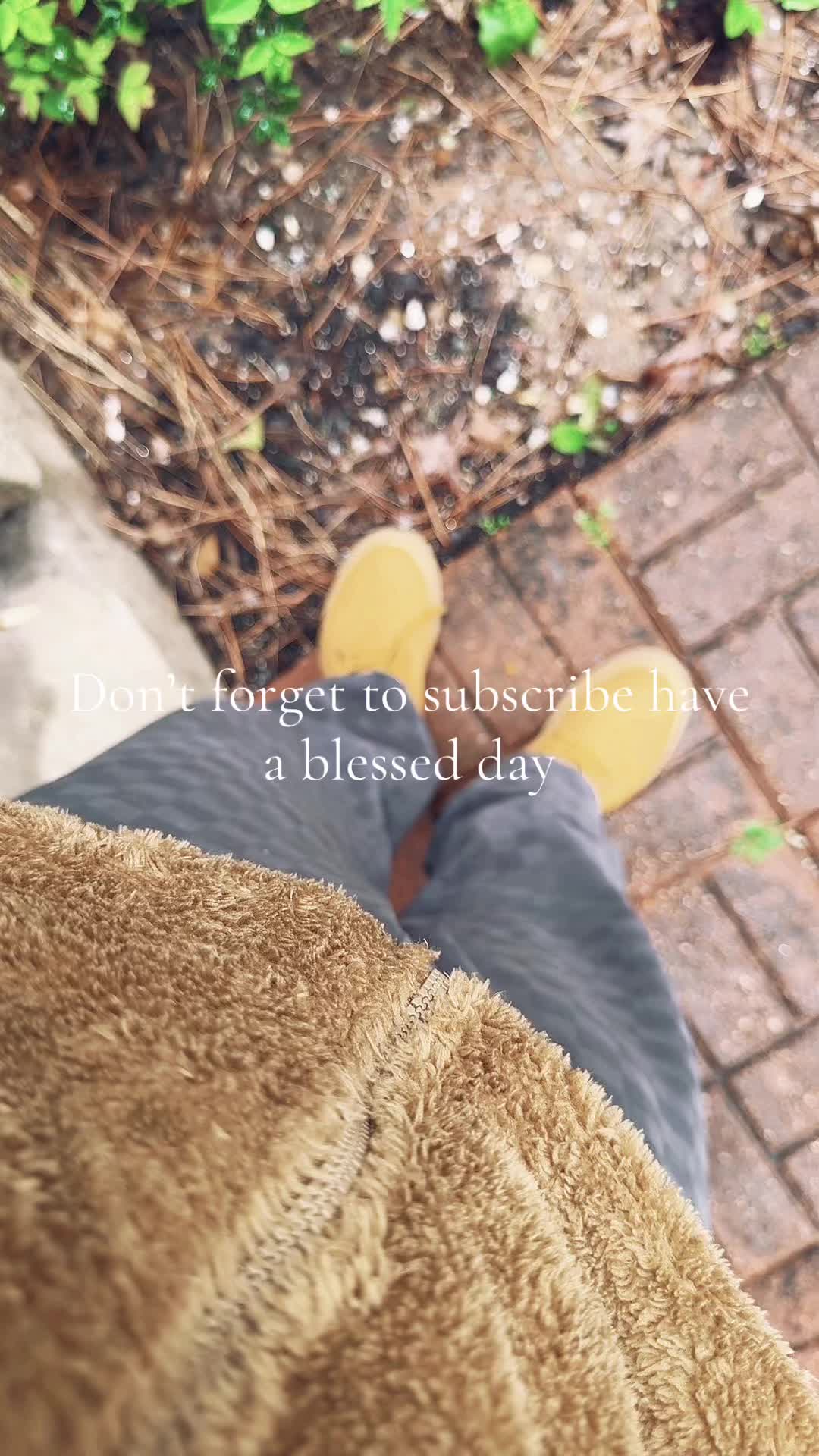 @oddtodd3