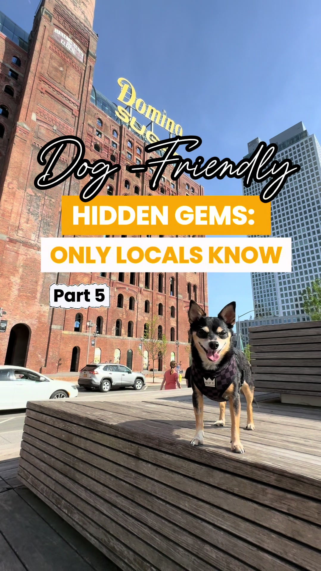 @nycdogadventures