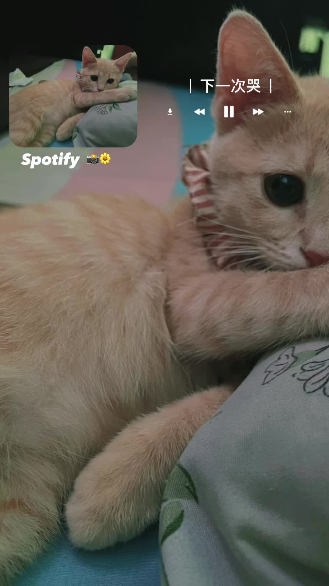 @CÔNG NGHỆ MỚI
