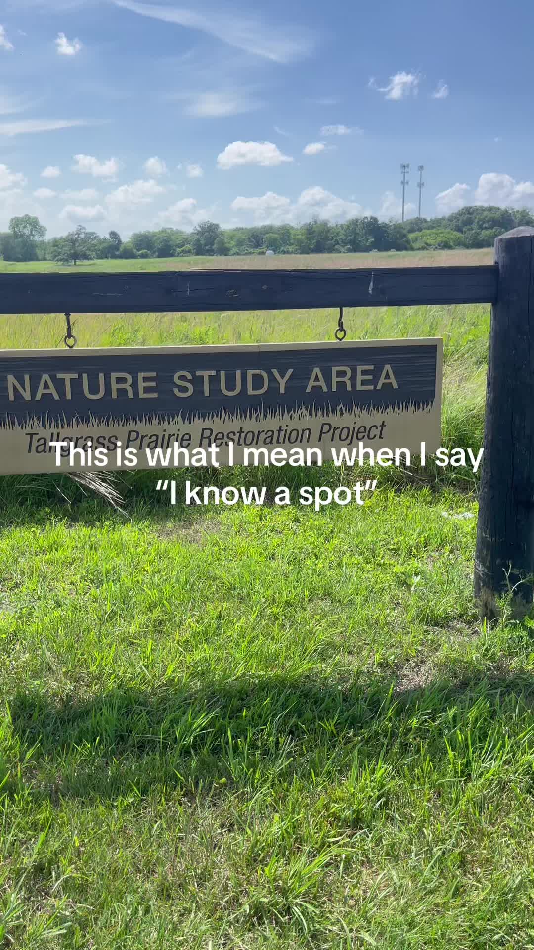 @Moraine Valley