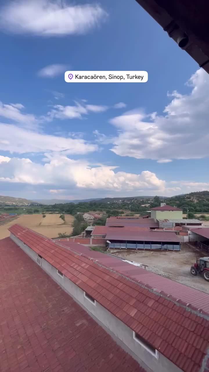 @Seda Kılıç